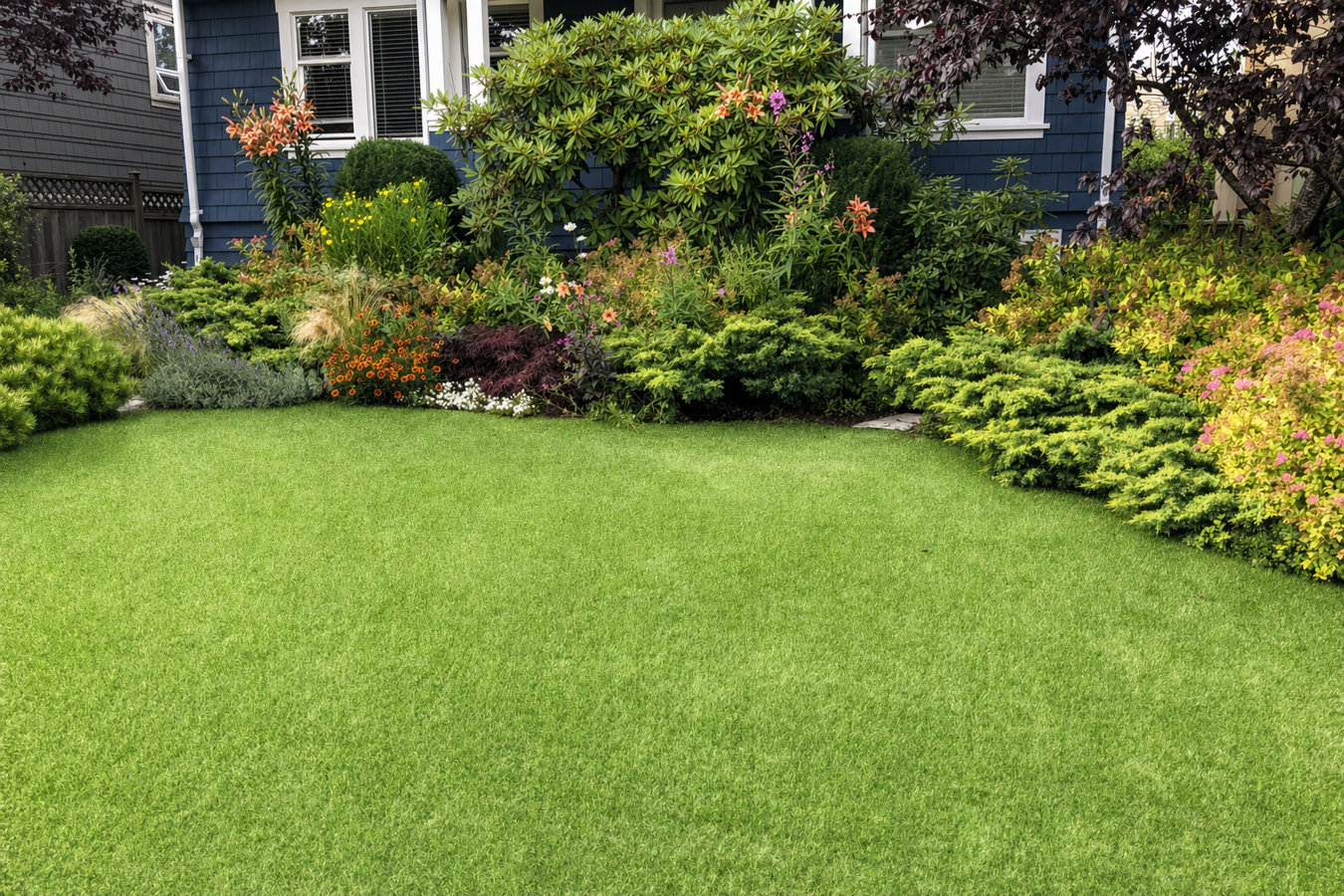 Drought-tolerant turf in Imperial Beach, CA