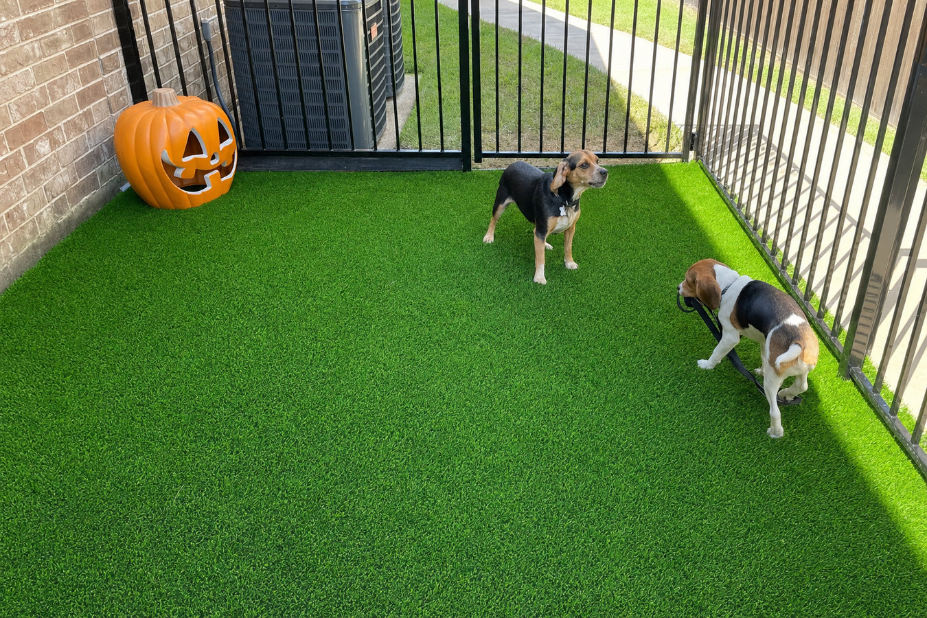 Pet-friendly turf in Imperial Beach, CA